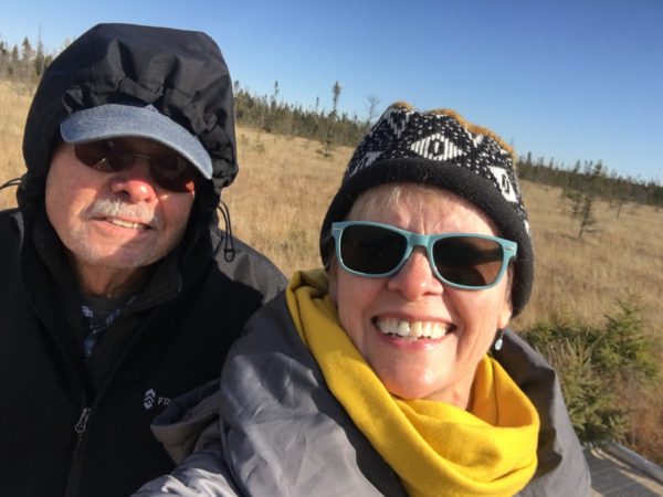 hike in the big bog