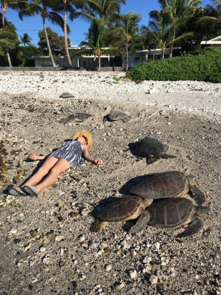 molly and the turtles