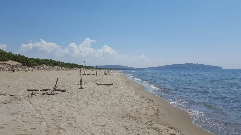 ansedonia-duna-della-feniglia
